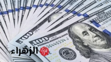 تطور جديد.. سعر الدولار يخالف التوقعات في بداية تعاملات الأربعاء 1